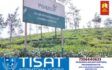 വേനൽ കനത്തു;പീരുമേട് താലൂക്കിലെ തേയില തോട്ടങ്ങളിൽ തൊഴിലാളികളുടെ ജോലി സമയം പുനക്രമീകരിച്ചു