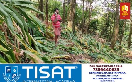 ഏലപ്പാറയിൽ സാമൂഹികവിരുദ്ധർ രണ്ടര ഏക്കർ സ്ഥലത്തെ ആയിരത്തോളം ഏലച്ചെടികൾ വെട്ടി നശിപ്പിച്ചു