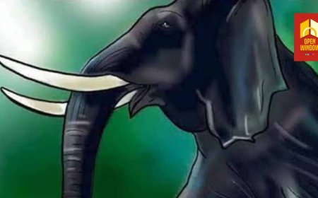 മൂന്നാറില്‍ കാട്ടാന ആക്രമണം; യുവാവ് മരിച്ചു, രണ്ടുപേര്‍ക്ക് പരിക്ക്