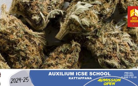 ഇടുക്കി ചേറ്റുക്കുഴിയിൽ കാറിൽ കടത്തിയ കഞ്ചാവുമായി രണ്ടു പേർ പിടിയിൽ