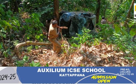 കുട്ടിക്കാനം പുല്ലുപാറയിൽ നിയന്ത്രണം നഷ്ടപ്പെട്ട കാർ 400 അടി താഴ്ചയിലേക്കു മറിഞ്ഞു; 2 പേർക്കു പരുക്ക്