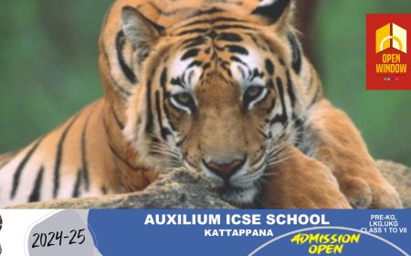 വന്യമൃഗ സംഘര്‍ഷം; വയനാട്ടിലെ കടുവാ കണക്കുകള്‍ പുറത്ത് വിട്ട് വനംവകുപ്പ്