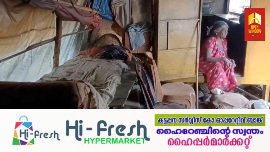 'ദയാവധത്തിന് തയ്യാര്‍' പെൻഷൻ മുടങ്ങിയതിൽ അടിമാലിയില്‍ വൃദ്ധ ദമ്പതികളുടെ പ്രതിഷേധം