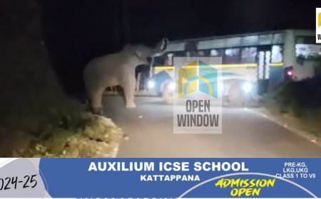 മൂന്നാറിൽ വീണ്ടും വാഹനം തടഞ്ഞ്  പടയപ്പ ;
ബസിന്റെ ചില്ല് തകർത്തു