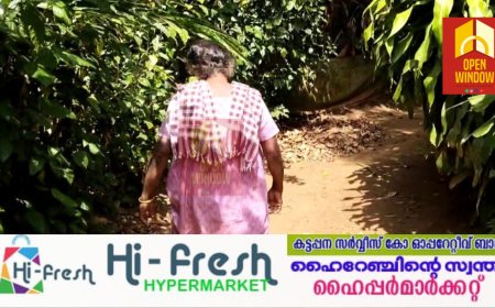 ആനപ്പേടിയിൽ ഉപ്പുതറ വളകോട്  നിവാസികൾ;
 കാട്ടാനകൾ എത്തുന്നത് വീടുകൾക്ക് സമീപം വരെ