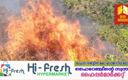 വേനൽ ചൂട് കൂടുന്നതോടെ പുൽമേടുകളിൽ കാട്ടുതീ പടരുന്നു ;ഉപ്പുതറ വളകോട് മത്തായി പാറയിൽ  അഗ്നിബാധയുണ്ടായി