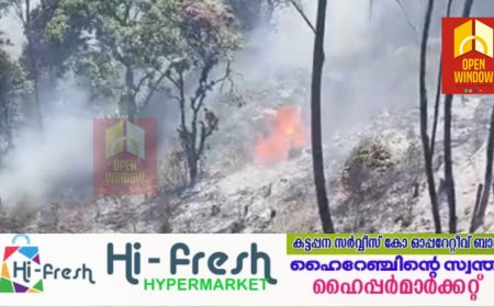 ഇടുക്കി പൂപ്പാറ ശങ്കരപണ്ട്യൻമെട്ടിൽ ജനവാസ മേഖലയ്ക്ക് സമീപം കാട്ടുതീ