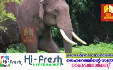 മൂന്നാറില്‍ ജനവാസമേഖലയിലിറങ്ങി നാശമുണ്ടാക്കുന്ന കാട്ടുകൊമ്പന്‍ പടയപ്പയെ ഉള്‍കാട്ടിലേക്ക് തുരത്താനുള്ള ശ്രമം ഇന്ന് മുതല്‍ തുടങ്ങും