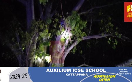 ഏലപ്പാറയിൽ റോഡ് നിർമ്മാണവുമായി ബന്ധപ്പെട്ട് നടക്കുന്ന സമരത്തിനിടെ മരത്തിന് മുകളിൽ കയറി ആത്മഹത്യാ ഭീഷണിയും