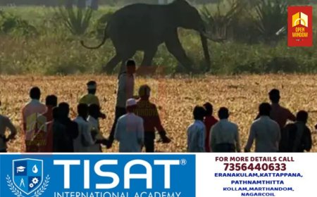 മനുഷ്യ-വന്യ ജീവി സംഘര്‍ഷം; സംസ്ഥാന പ്രത്യേക ദുരന്തമായി പ്രഖ്യാപിച്ച്‌ കേരളം