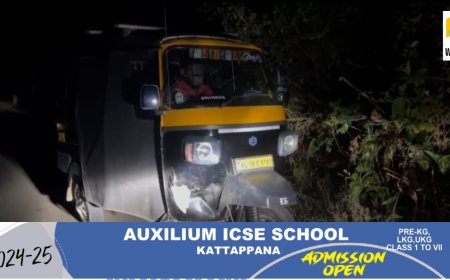 ശാന്തൻപാറയിൽ കാട്ടുപന്നി അക്രമണത്തിൽ ഓട്ടോ റിക്ഷാ തൊഴിലാളിക്ക് പരുക്ക്