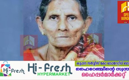 ഇടുക്കി നെടുങ്കണ്ടത്ത് തേനീച്ചക്കുത്തേറ്റ വയോധിക മരിച്ചു