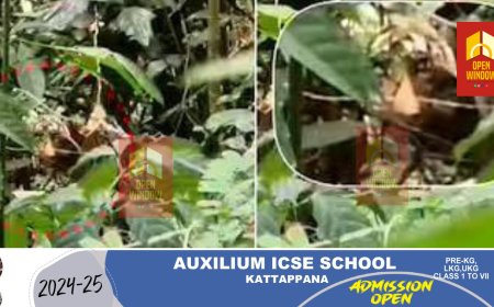 മയക്കുവെടി വയ്ക്കും മുമ്പ് കടന്നുകളഞ്ഞു; കണ്ണൂരില്‍ നാട്ടിലിറങ്ങിയ കടുവയ്ക്കായി തിരച്ചില്‍ തുടരുന്നു