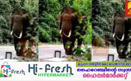 മൂന്നാറിലെ ജനവാസ മേഖലയില്‍ തമ്പടിച്ചിട്ടുള്ള കാട്ടുകൊമ്പന്‍ പടയപ്പയെ ഉള്‍വനത്തിലേക്ക് തുരത്തും