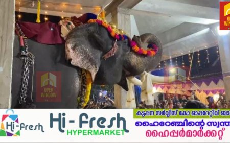 മേപ്പാറ ശ്രീമഹാവിഷ്ണു ഭഗവാന്റെ ഈ വർഷത്തെ പുണർതം തിരുനാൾ മഹോത്സവം നടന്നു. ഉത്സവത്തോടനുബന്ധിച്ച് ഭക്തിനിർഭരമായ ഘോഷയാത്രയും നടന്നു