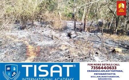 വേനൽ കടുത്തതോടെ ഇടുക്കി മലയോര മേഖലയിൽ കാട്ടുതീ പടരുന്നത് നിത്യസംഭവമാകുന്നു