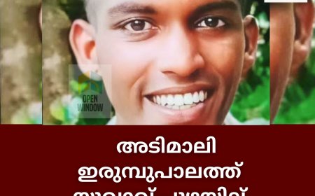 അടിമാലി ഇരുമ്പുപാലത്ത് യുവാവ് പുഴയില്‍ മുങ്ങിമരിച്ചു. പടികപ്പ് സ്വദേശി ജോസ്ബിനാണ് മരിച്ചത്