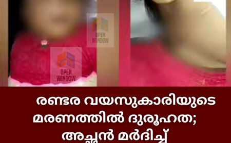 രണ്ടര വയസുകാരിയുടെ മരണത്തില്‍ ദുരൂഹത; അച്ഛൻ മര്‍ദിച്ച് കൊലപ്പെടുത്തിയതെന്ന് അമ്മയുടെ ബന്ധുക്കള്‍