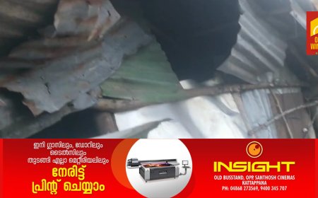 ഇടുക്കിയിൽ വീണ്ടും  കാട്ടാന ആക്രമണം; ചിന്നക്കനാലിൽ ഷെഡ് തകർത്തു