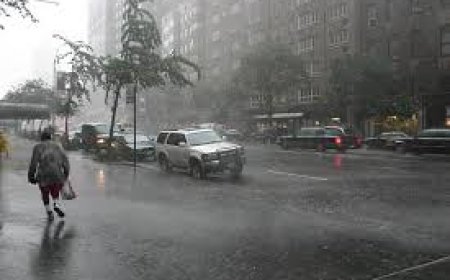 അടുത്ത മണിക്കൂറുകളിൽ സംസ്ഥാനത്തെ മൂന്ന് ജില്ലകളിൽ മഴയ്ക്ക് സാധ്യത; ശക്തമായ കാറ്റിനും ഇടിമിന്നലിനും സാധ്യത