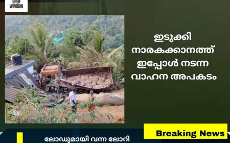 ഇടുക്കി നാരകക്കാനത്ത് വാഹനാപകടം;ഡ്രൈവർക്ക് പരിക്കേറ്റു
