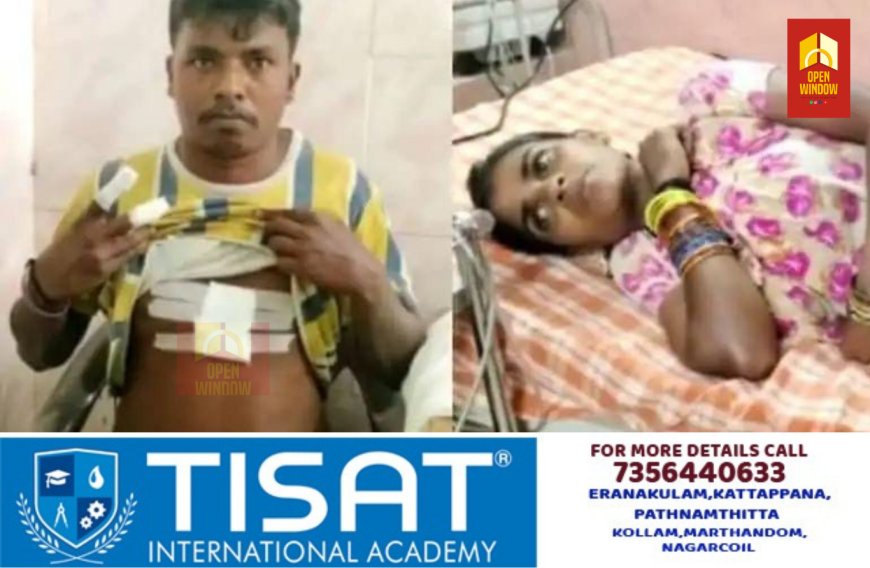വണ്ടിപ്പെരിയാറിൽ പൈപ്പിൽ നിന്ന് കുടിവെള്ളം എടുക്കുന്നതിനെ ചൊല്ലി തർക്കം, ചീത്തവിളി; ഗർഭിണിയേയും ഭർത്താവിനെയും വെട്ടി അയൽവാസി
