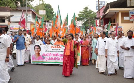 മോദി പ്രഭാവം വോട്ടായി മാറും - എൻ ഹരി