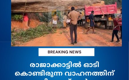 രാജാക്കാട്ടിൽ ഓടി കൊണ്ടിരുന്ന വാഹനത്തിന് മുകളിലേക്ക് വൻ മരം കടപുഴകി വീണു
