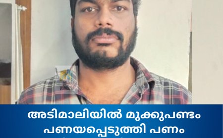 ഇടുക്കി അടിമാലിയിൽ സ്വകാര്യ ധനകാര്യ സ്ഥാപനത്തില്‍ മുക്കുപണ്ടം പണയപ്പെടുത്തി പണം തട്ടിയ കേസിൽ ഒരാള്‍ അറസ്റ്റിൽ