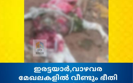ഇരട്ടയാർ,വാഴവര മേഖലകളിൽ വീണ്ടും ഭീതി വിതച്ച് അജ്ഞാത ജീവികളുടെ ആക്രമണം; ആടിനെ കൊന്നത് വന്യമൃഗമെന്ന് നാട്ടുകാർ