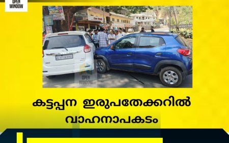 കട്ടപ്പന  ഇരുപതേക്കറിൽ വാഹനാപകടം