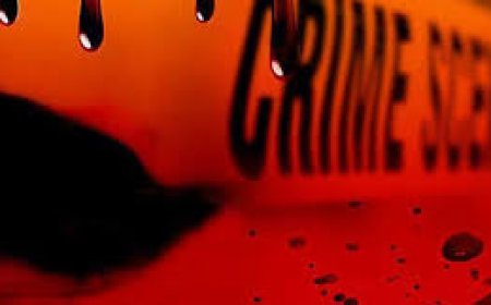 അടിമാലി ഫാത്തിമ കാസിം കൊലപാതകം: പ്രതികൾ കവിതയും അലക്‌സും പാലക്കാട് പിടിയിൽ