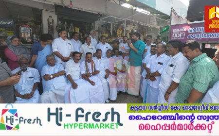 വികസനം പറഞ്ഞു വോട്ട് തേടി ഡീൻ