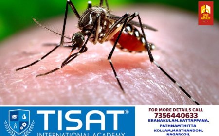 ഡെങ്കിപ്പനി വ്യാപനത്തിന് സാധ്യത കൂടുതൽ ; ജാഗ്രത വേണമെന്ന് ആരോ​ഗ്യവകുപ്പ്‌