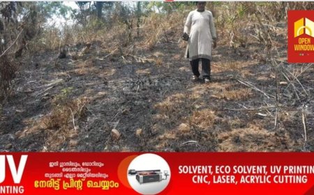 ഉപ്പുതറ വളകോട് പാലൂക്കാവ് പന്നിക്കണ്ടത്ത് കാട്ടിൽ തീയിട്ടത് വനം വകുപ്പെന്ന് കർഷക ആരോപണം. നാട്ടുകാരെ കുടിയിറക്കാൻ ശ്രമമെന്നും  ആക്ഷേപം