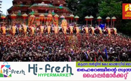നാടും നഗരവും ഒന്നാകെ ആഘോഷ തിമിർപ്പിൽ; പൂരങ്ങളുടെ പൂരമായ തൃശ്ശൂർ ഇന്ന്