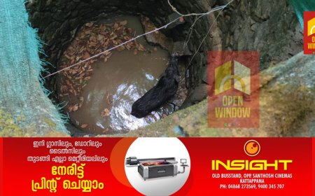 കട്ടപ്പന ആനകുത്തിയിൽ കിണറ്റിൽ കാട്ടുപന്നി ചാടി