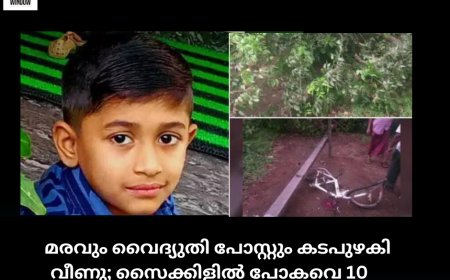 മരവും വൈദ്യുതി പോസ്റ്റും കടപുഴകി വീണു; സൈക്കിളില്‍ പോകവെ 10 വയസുകാരന് ദാരുണാന്ത്യം
