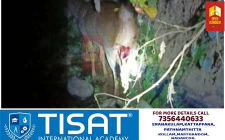 ശാന്തൻപാറ പേത്തൊട്ടി ഭാഗത്ത് ചെന്നായയുടെ ആക്രമണത്തിൽ പരിക്കേറ്റ മ്ലാവിനെ രക്ഷിക്കാൻ തയ്യാറാകാത്ത വനം വകുപ്പ് ഉദ്യോഗസ്ഥർക്ക് എതിരെ നടപടി ആവിശ്യപ്പെട്ട് ഹിന്ദു ഐക്യവേദി രംഗത്ത്