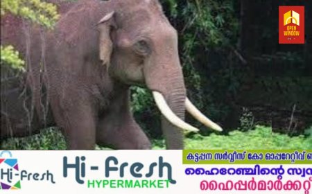 അരിക്കൊമ്പൻ സമിതി ശുപാർശകളില്‍ ആശങ്ക; ജനജീവിതത്തിനും ടൂറിസം മേഖലക്കും ദോഷകരമായതെന്ന് ആക്ഷേപം