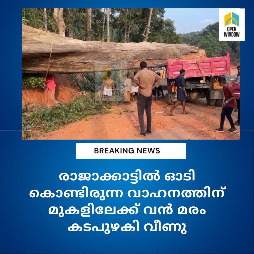 രാജാക്കാട്ടിൽ ഓടി കൊണ്ടിരുന്ന വാഹനത്തിന് മുകളിലേക്ക് വൻ മരം കടപുഴകി വീണു