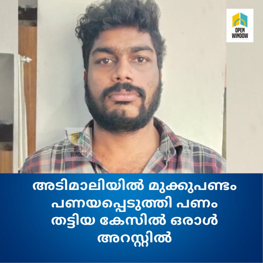 ഇടുക്കി അടിമാലിയിൽ സ്വകാര്യ ധനകാര്യ സ്ഥാപനത്തില് മുക്കുപണ്ടം പണയപ്പെടുത്തി പണം തട്ടിയ കേസിൽ ഒരാള് അറസ്റ്റിൽ