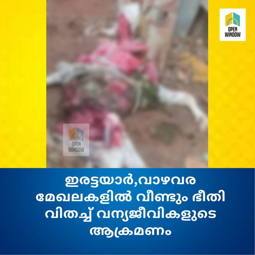 ഇരട്ടയാർ,വാഴവര മേഖലകളിൽ വീണ്ടും ഭീതി വിതച്ച് അജ്ഞാത ജീവികളുടെ ആക്രമണം; ആടിനെ കൊന്നത് വന്യമൃഗമെന്ന് നാട്ടുകാർ