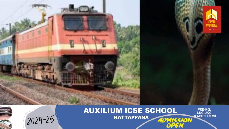 ട്രെയിനിൽ വച്ച് യുവാവിന് പാമ്പുകടിയേറ്റു; മധുര സ്വദേശി മെഡിക്കൽ കോളജില് ചികില്സയിൽ
