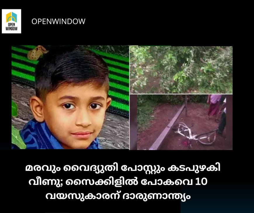 മരവും വൈദ്യുതി പോസ്റ്റും കടപുഴകി വീണു; സൈക്കിളില്‍ പോകവെ 10 വയസുകാരന് ദാരുണാന്ത്യം