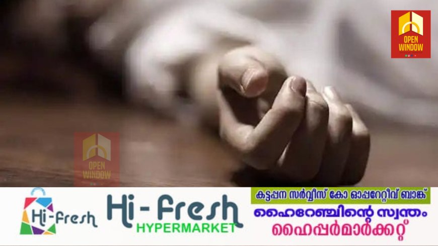 വെസ്റ്റ് നൈൽ പനി ബാധിച്ച് ചികിത്സയിലിരുന്ന ഇടുക്കി സ്വദേശി മരിച്ചു