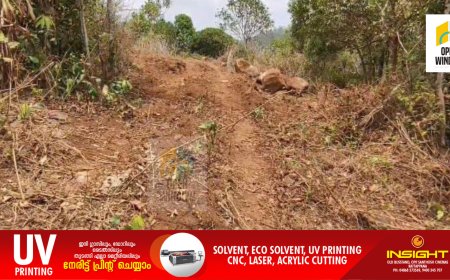 ഇടുക്കി പീരുമേട് താലൂക്ക് ഓഫീസിന് സമീപം
സർക്കാർ ഭൂമിയിൽ വൻ കൈയേറ്റം