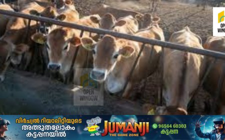 സൂര്യാഘാതം - ക്ഷീര കർഷകരുടെ  ശ്രദ്ധയ്ക്ക്