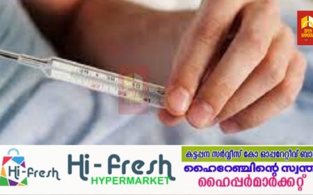 കോഴിക്കോട്ടും മലപ്പുറത്തും വെസ്റ്റ് നൈൽ ഫീവർ സ്ഥിരീകരിച്ചു;10 പേർക്ക് രോഗബാധ