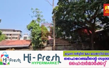 അടിമാലി സര്‍ക്കാര്‍ ഹൈസ്‌ക്കൂള്‍ ഗ്രൗണ്ടിന് സമീപം നില്‍ക്കുന്ന ഉണങ്ങിയ മരം അപകടാവസ്ഥ സൃഷ്ടിക്കുന്നു